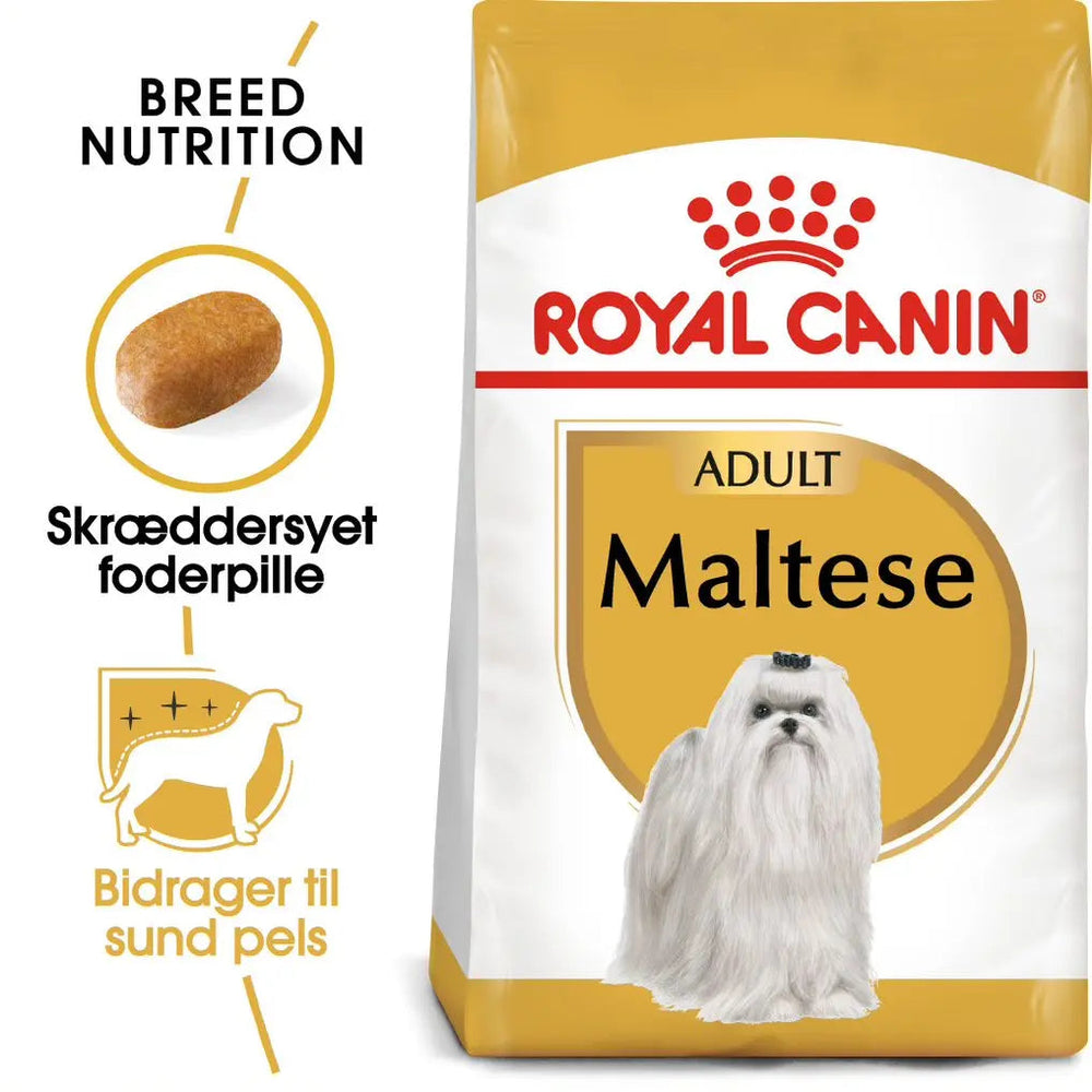 Adult Malteser 1,5 kg