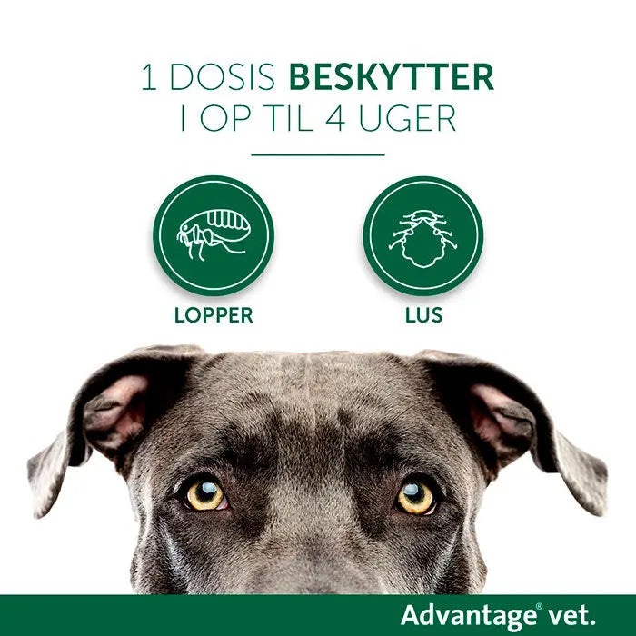 ADVANTAGE VET Loppemiddel hund under 4 kg -  4x0,4 ml
