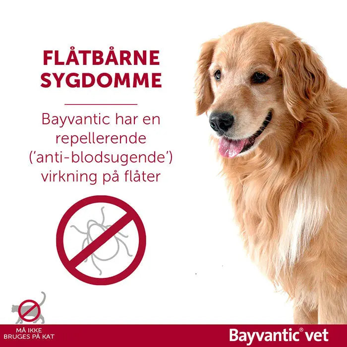 BAYVANTIC VET Flåt- & loppemiddel hund 10-25 kg - 4x2,5 ml