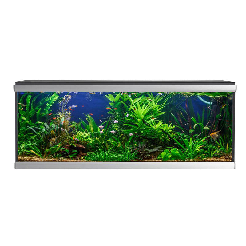 Akvarium Move 576 l, 160x60x64 cm sort