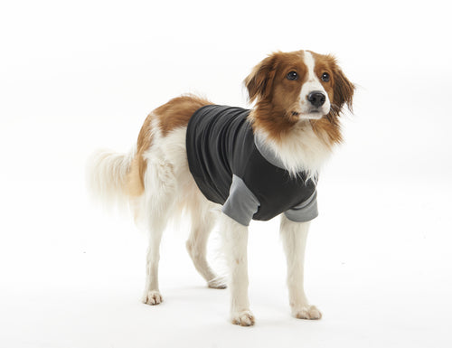 Body Suit EasyGO L 45 cm sort/grå