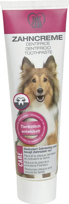 Tandpasta mintsmag 100 ml