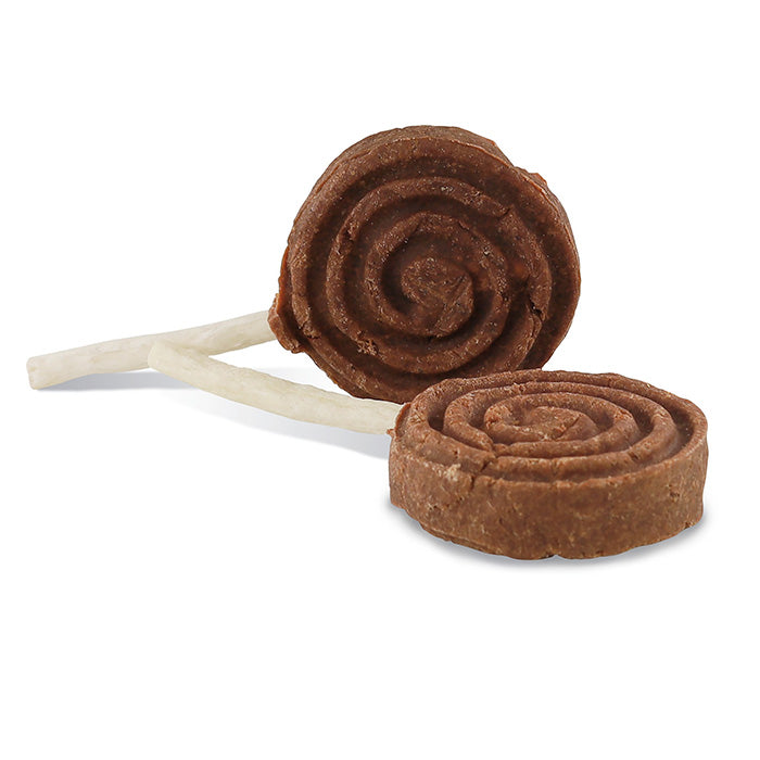 Lollipop and 1 stk - Maxi Zoo Danmark