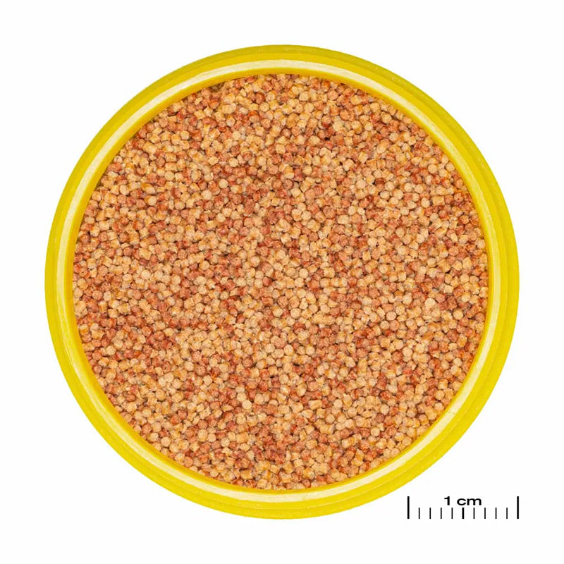Pronovo Color Granulats 100 ml