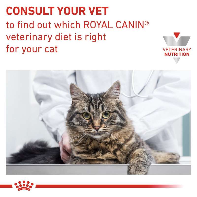 VHN Gastrointestinal Modera.Calorie 2 kg