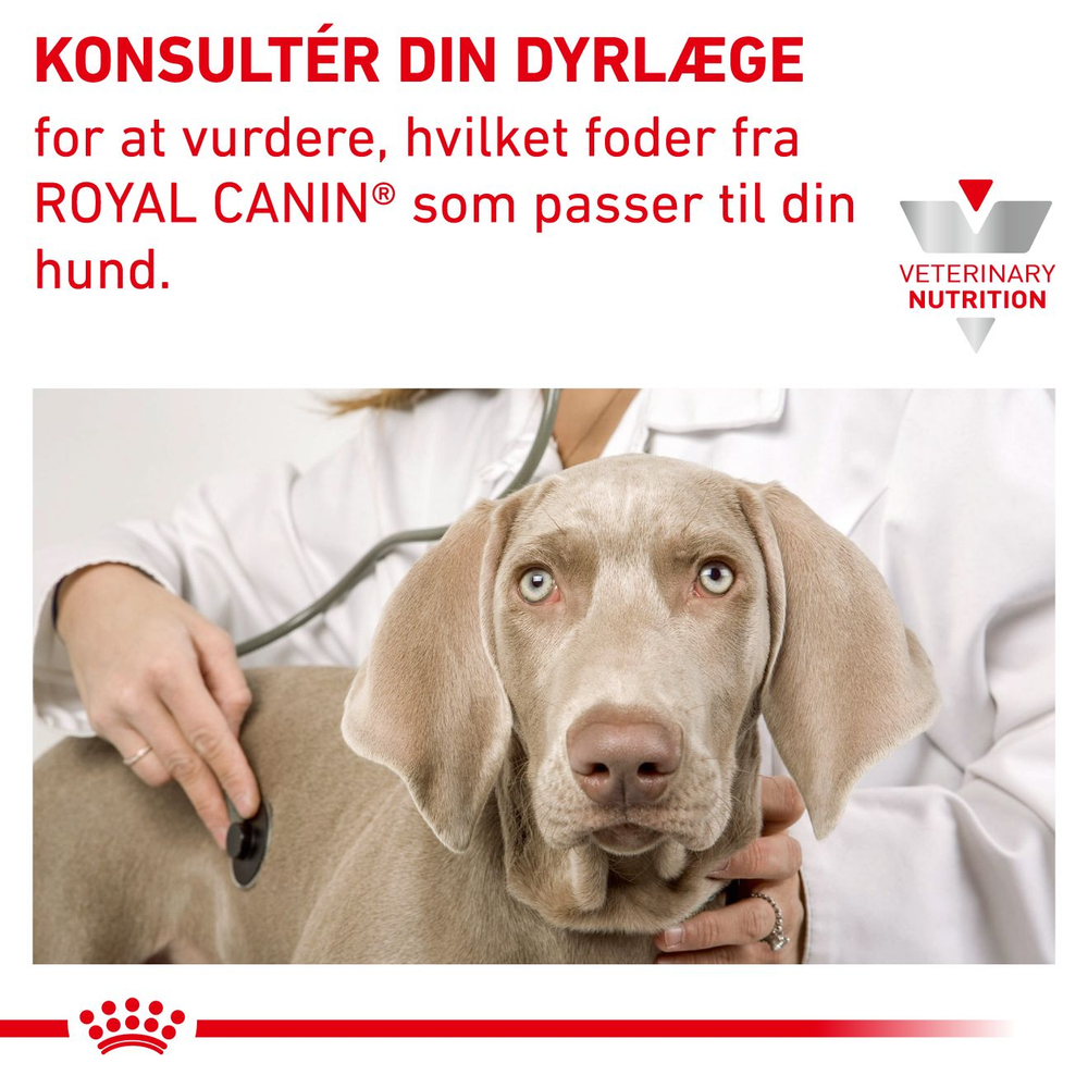 VHN Derma Skin Care Dog 11 kg