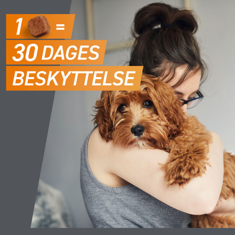 Flåt- & loppemiddel tyggetabletter hund 4-10 kg - 3 stk/pk